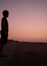 喜欢孤独的人适合养什么猫